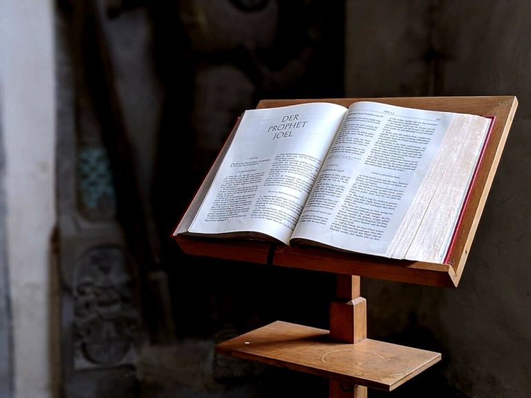 Themenbild (aufgeschlagene Bibel) (c) Luca Peter/fundus-medien.de